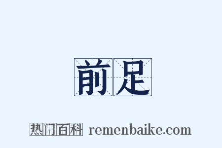 前足是什么意思的图片